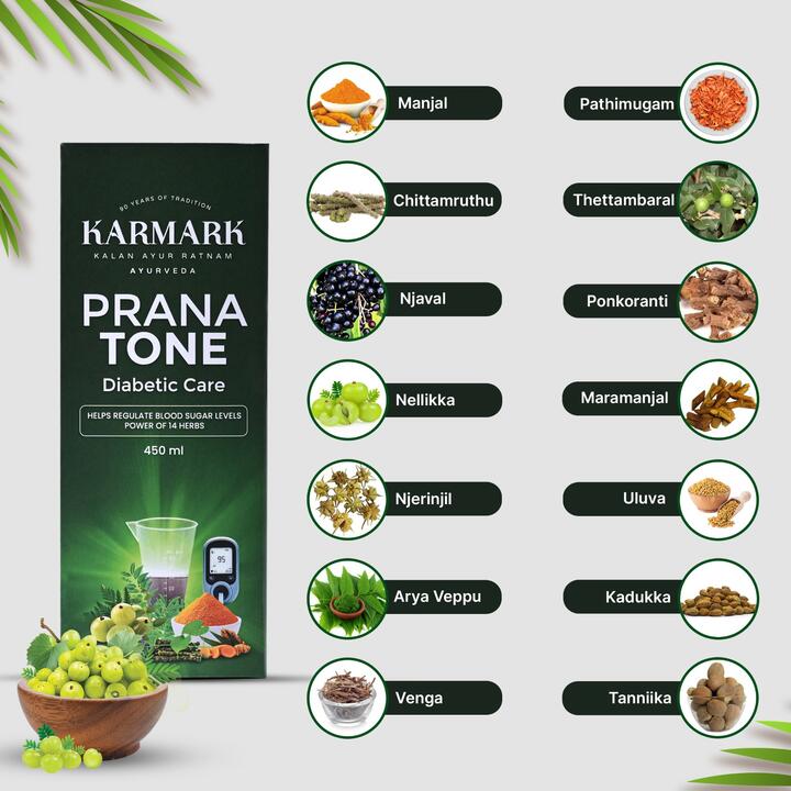 KARMARK Prana Tone 450 ml | Diabetic care | Ayurveda | Jamun | Amla | Karela | Guduchi | Turmeric | Blood sugar control